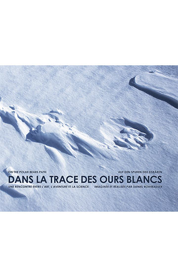 Ours blanc